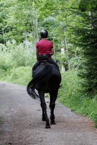 Equestrian Trails